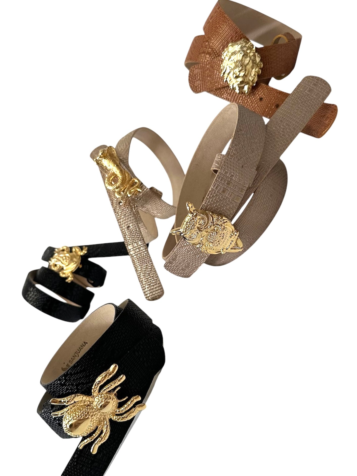 Cinturón Australia Ref. 550109