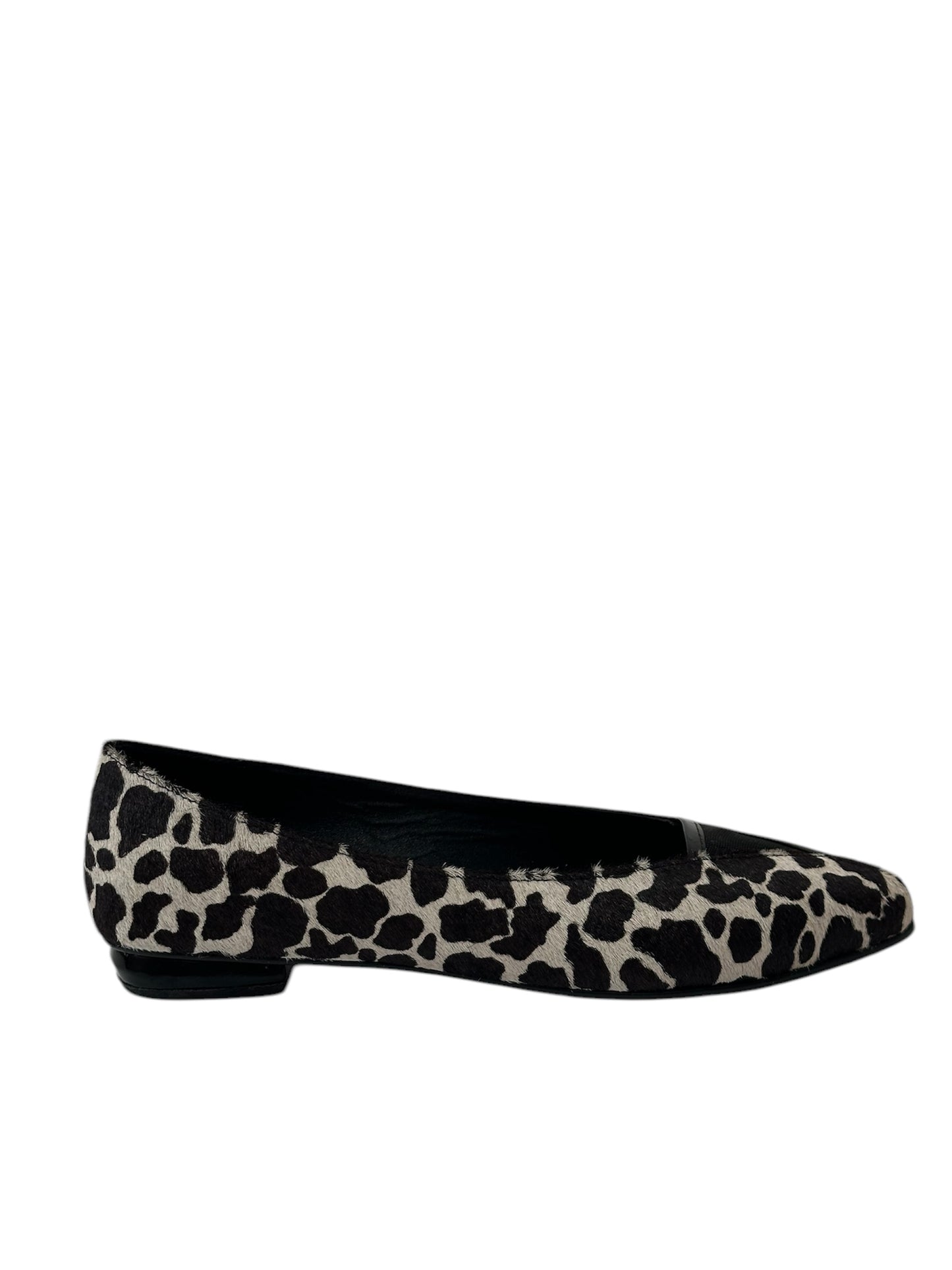 Baleta Duo Ref. 240121