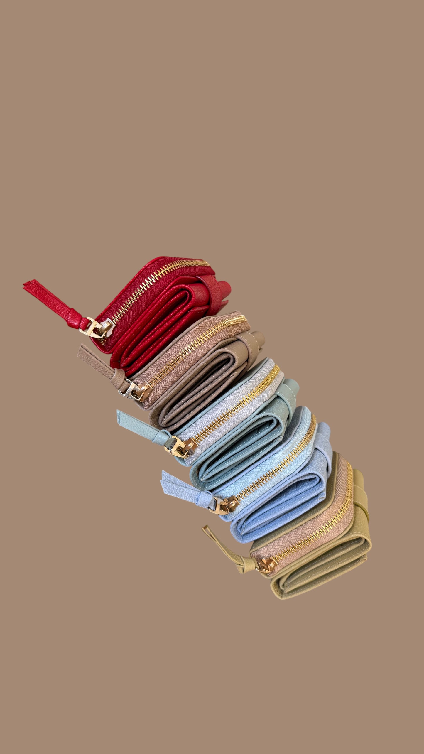 Billetera Ref. 520002