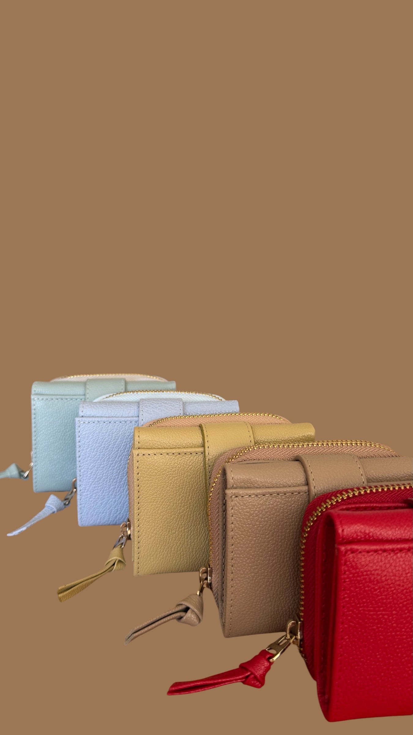 Billetera Ref. 520002