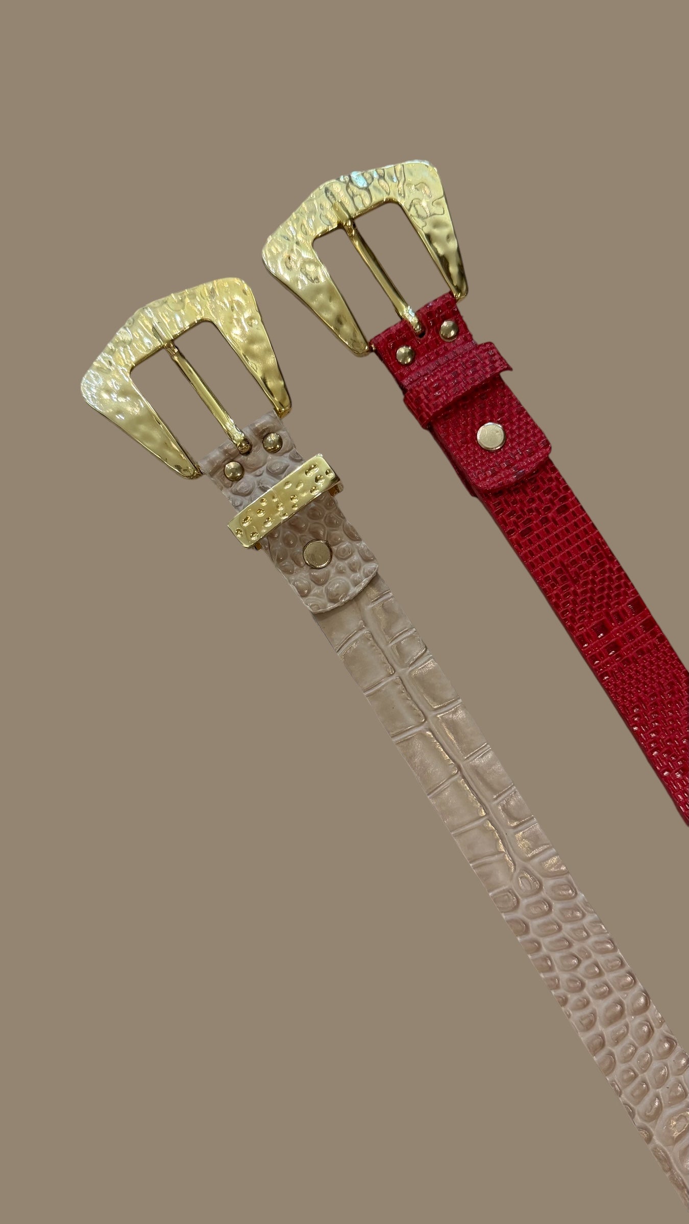 Cinturón Ref. 550124