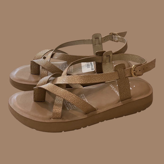 Sandalia Ref. 3612298