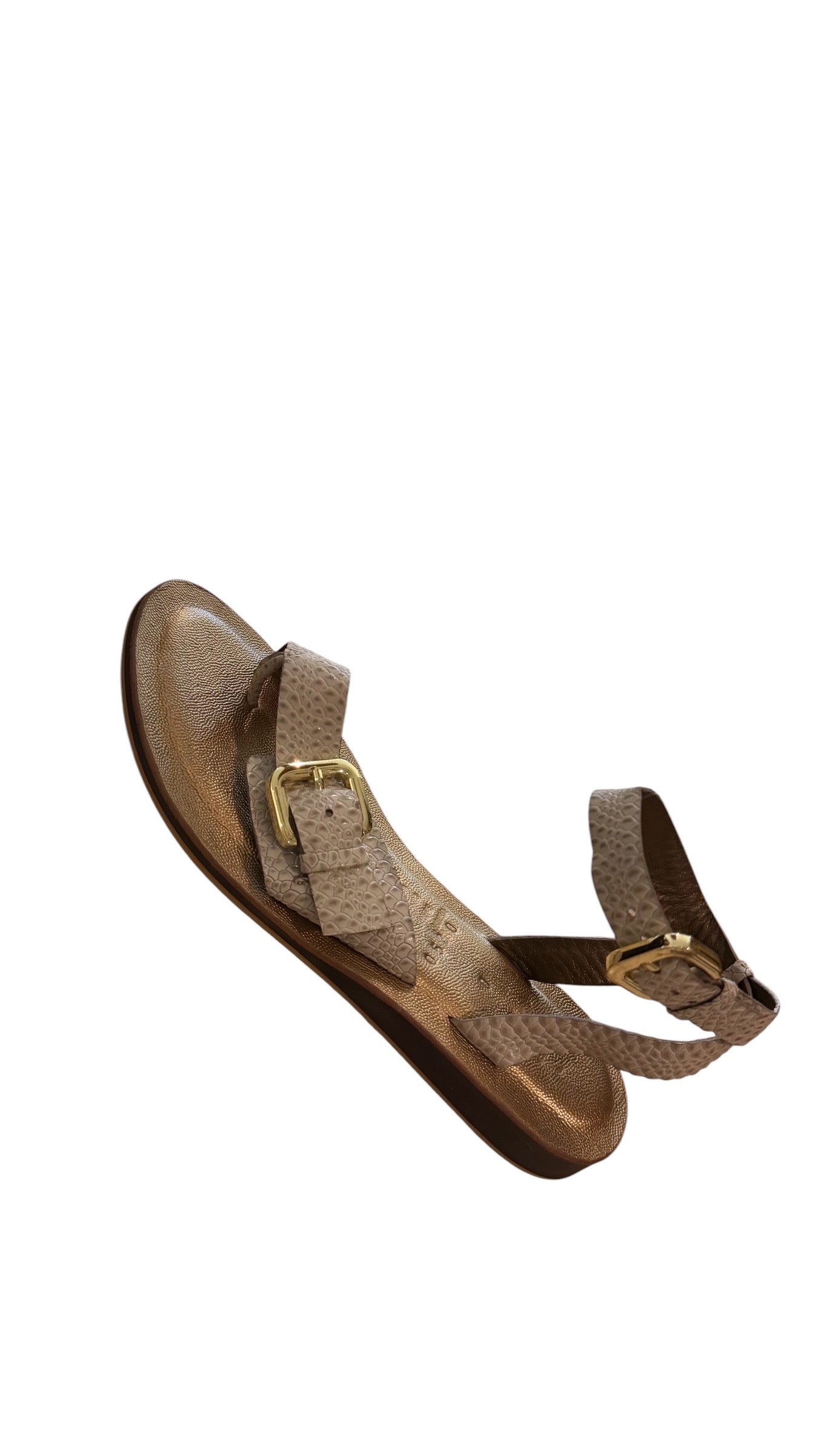 Sandalia Ref. 720530
