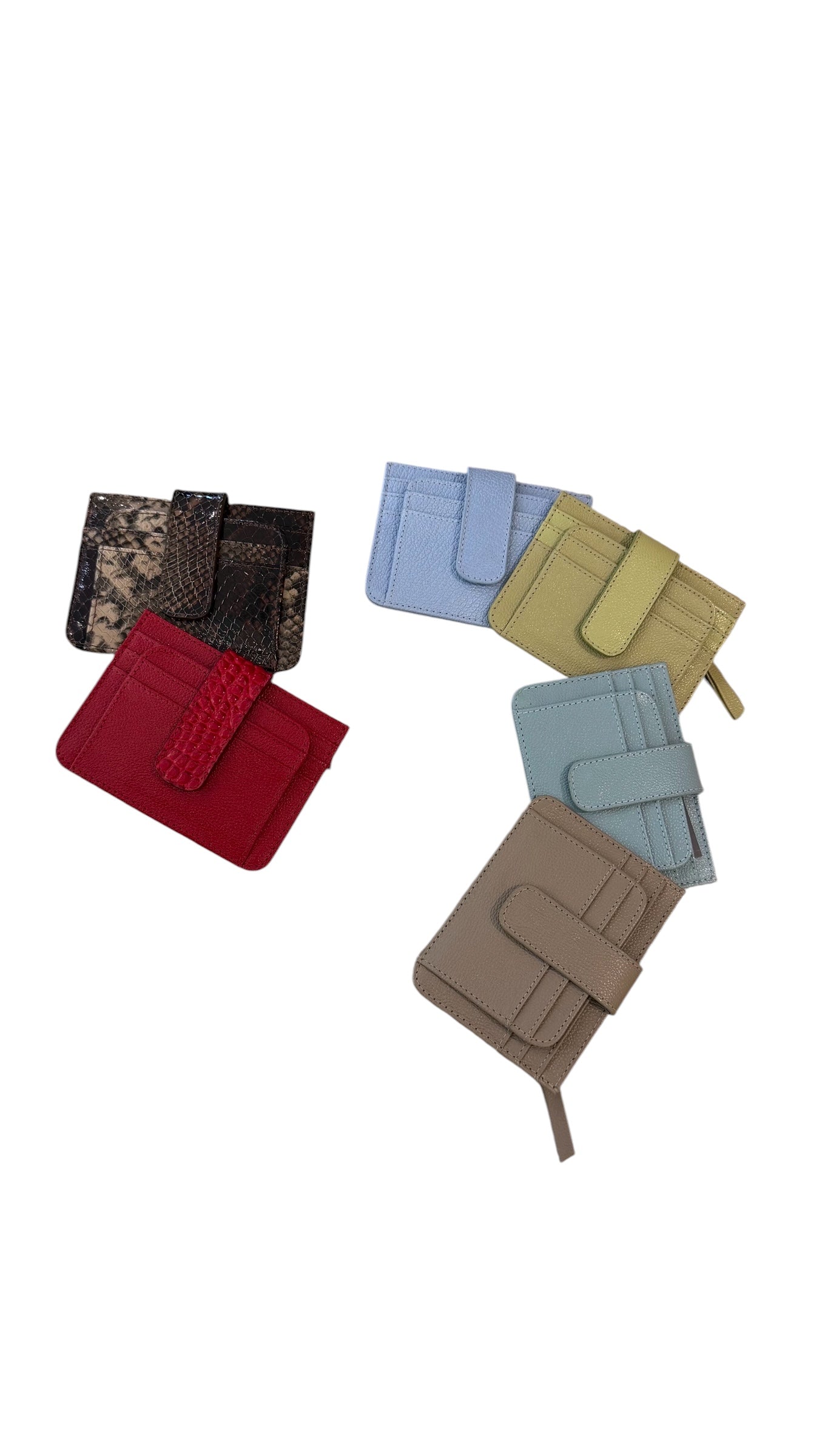 Billetera Ref. 520004